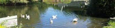 Parque da Cidade
