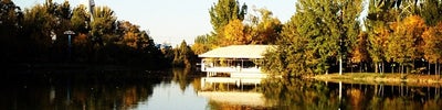 International Hotel