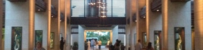 The Cove Atlantis