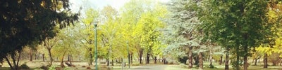 Градски парк / City Park (Градски парк)