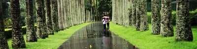 Royal Botanic Gardens