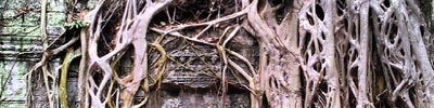 Ta Prohm