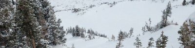Alta Ski Area
