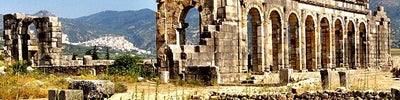 Volubilis (وليلي)