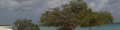 Eagle Beach