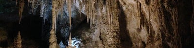 Carlsbad Caverns National Park