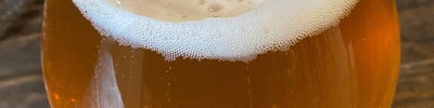 Revelry Brewing