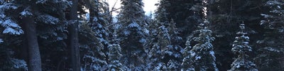 Hurricane Ridge