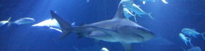 Henry Doorly Zoo and Aquarium