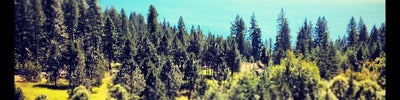 Lake Coeur d'Alene