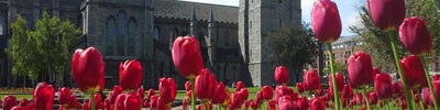 St Patrick's Park