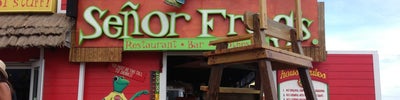 Señor Frog's