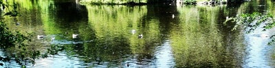 St Stephen's Green