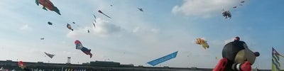 Tempelhofer Feld