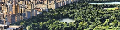 Central Park