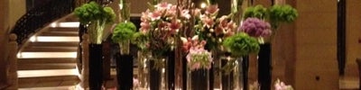 Four Seasons Hotel Amman (فندق الفور سيزونز)