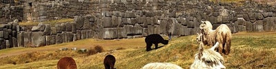 Sacsayhuamán