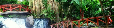 Tabacon Grand Spa Thermal Resort