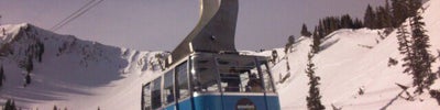 Snowbird Ski & Summer Resort