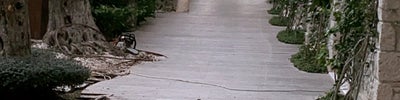 Biblos Beach Resort Alaçatı