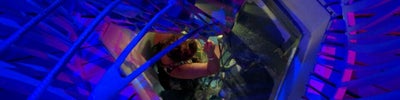 Meow Wolf