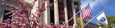 Museum of Fine Arts