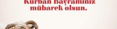beton saha
