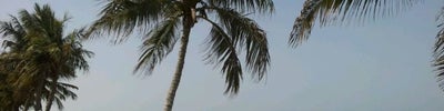 Shatti Al Qurum (شاطئ القرم)