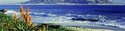 Table Mountain National Park