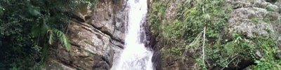 El Yunque National Forest