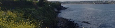 40 Steps