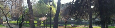 Parque Forestal