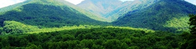 Great Smoky Mountains National Park