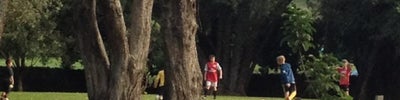 Cornwall Park