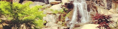 Maymont