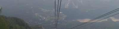 Gondola Vogel