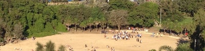 Shelly Beach