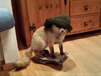 Roanwirt