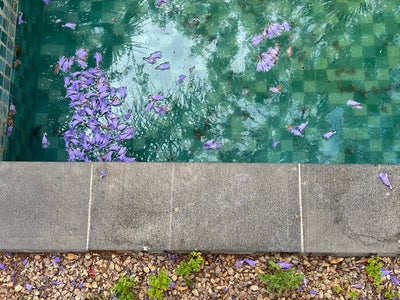 The House Boutique Suites