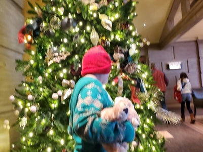 The Little America Hotel - Flagstaff