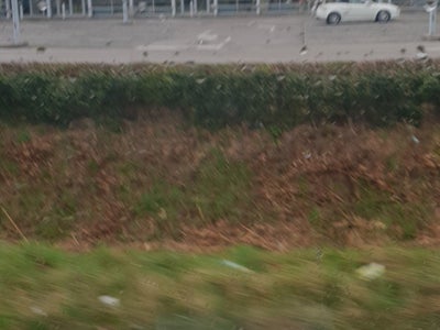 rizzato calzature oderzo