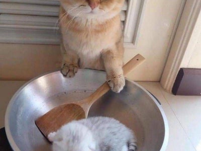 Hôtel Ozz by HappyCulture