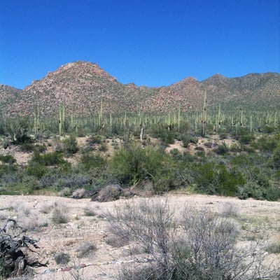 Saguaro National Park West - 18 tips