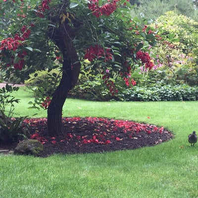 Japanischer Garten - 14 Tipps