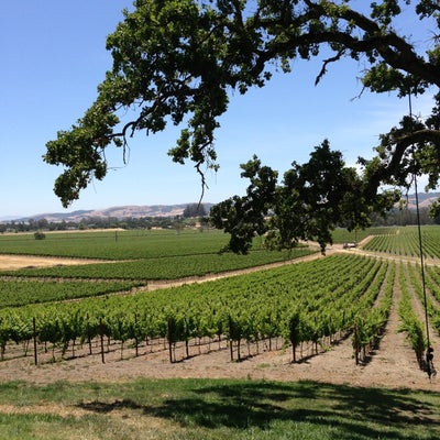 do you have to have a reservation to visit scribe winery do you have to have a reservation to visit scribe winery