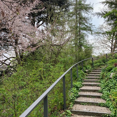 Alter Botanischer Garten Park in Zürich
