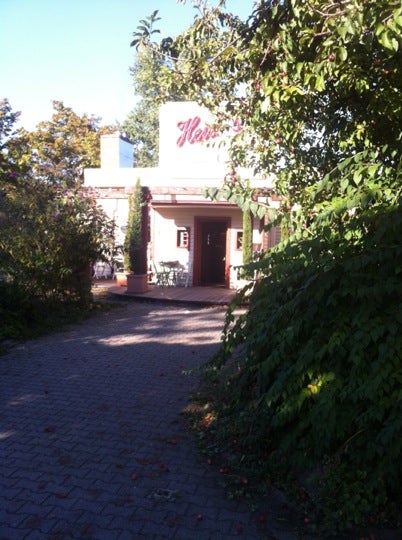 steakhouse