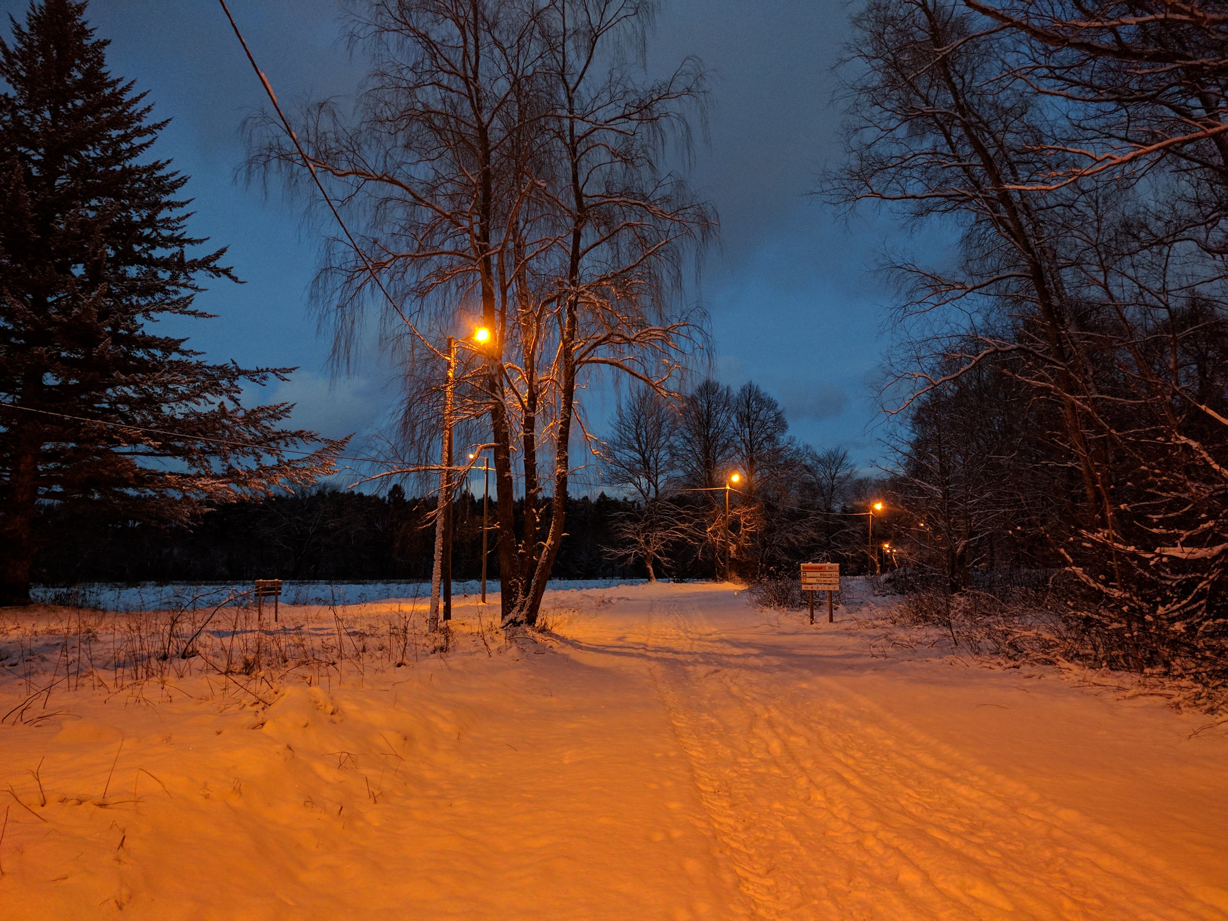 trail