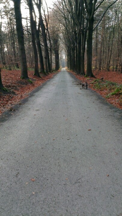 town