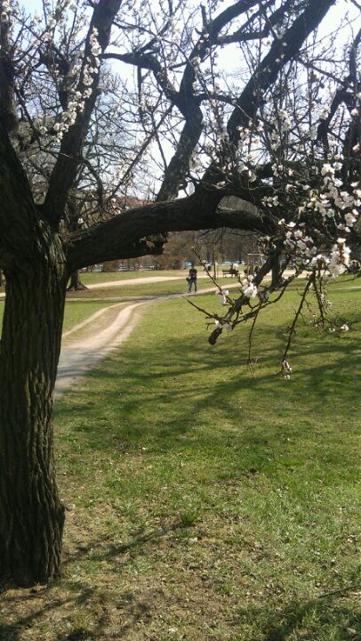 park